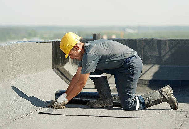Best Spray Foam Insulation  in Blanding, UT