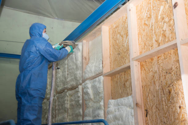 Best Energy-efficient Insulation  in Blanding, UT